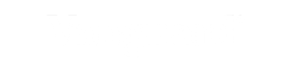 vanguard logo
