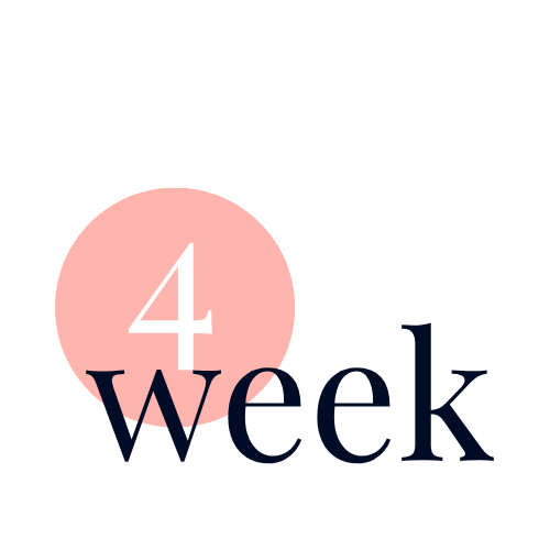week 4 of nervous system mastery for women