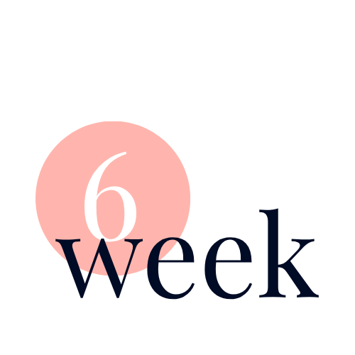 week 6 of nervous system mastery for women